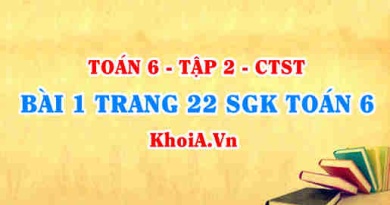 Bài 1 trang 22 SGK Toán 6 Tập 2 Chân trời sáng tạo